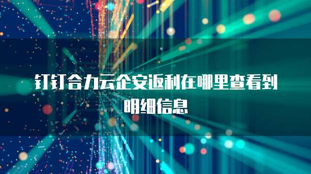 钉钉合力云企安返利在哪里查看到明细信息