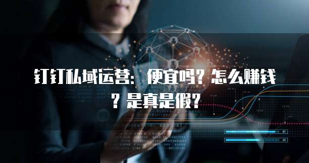 钉钉私域运营:便宜吗?怎么赚钱?是真是假?