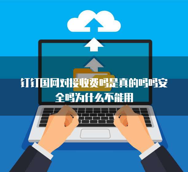 钉钉国网对接收费吗是真的吗吗安全吗为什么不能用