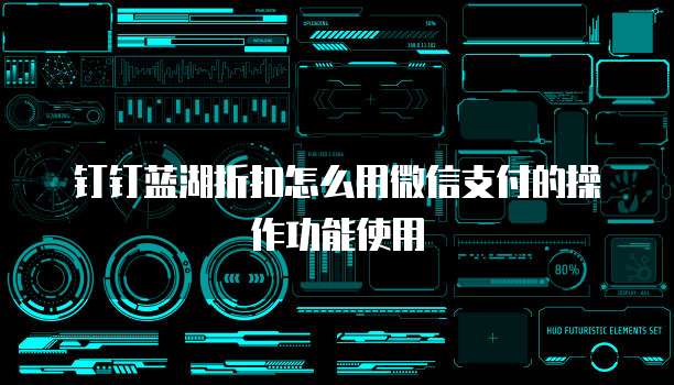 钉钉蓝湖折扣怎么用微信支付的操作功能使用