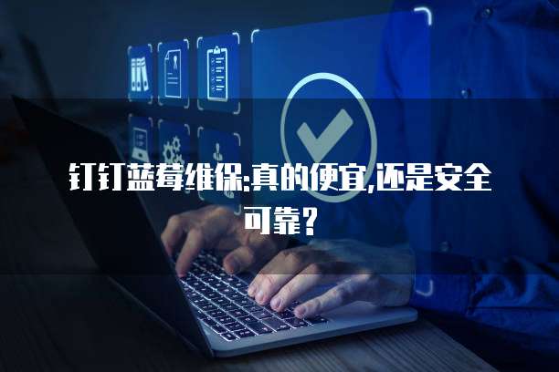 钉钉蓝莓维保:真的便宜,还是安全可靠?