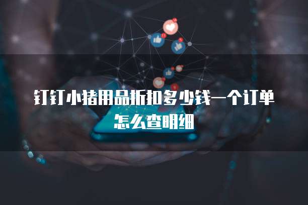 钉钉小猪用品折扣多少钱一个订单怎么查明细