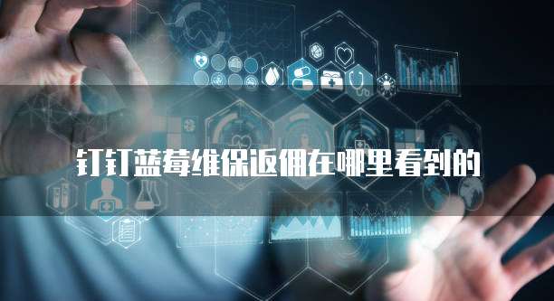 钉钉蓝莓维保返佣在哪里看到的