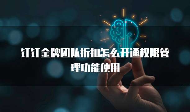 钉钉金牌团队折扣怎么开通权限管理功能使用