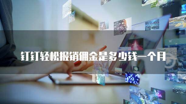 钉钉轻松报销佣金是多少钱一个月