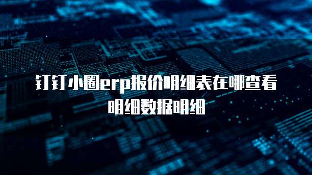 钉钉小圈erp报价明细表在哪查看明细数据明细