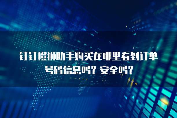 钉钉橙狮助手购买在哪里看到订单号码信息吗?安全吗?
