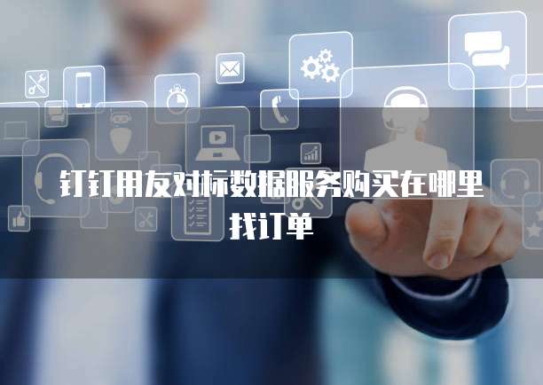 钉钉用友对标数据服务购买在哪里找订单