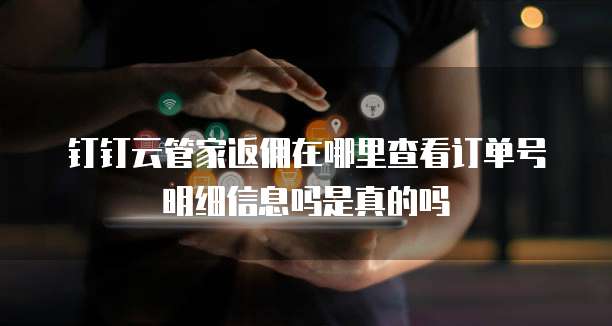 钉钉云管家返佣在哪里查看订单号明细信息吗是真的吗