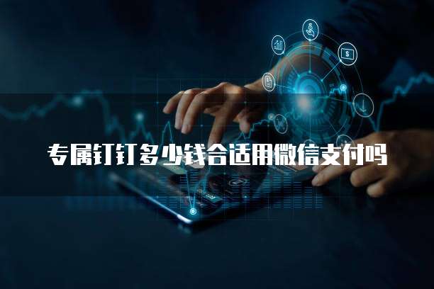 专属钉钉多少钱合适用微信支付吗
