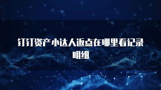 钉钉资产小达人返点在哪里看记录明细