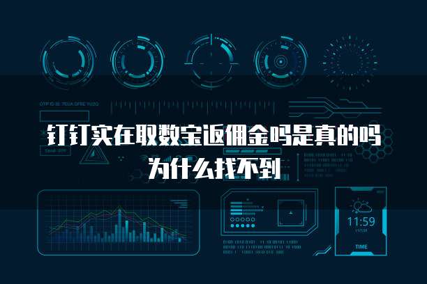 钉钉实在取数宝返佣金吗是真的吗为什么找不到