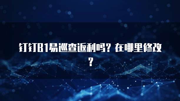 钉钉B1易巡查返利吗?在哪里修改?