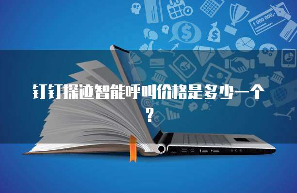钉钉探迹智能呼叫价格是多少一个？