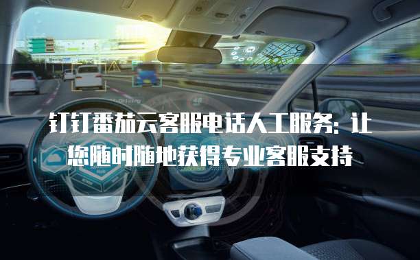 钉钉番茄云客服电话人工服务: 让您随时随地获得专业客服支持