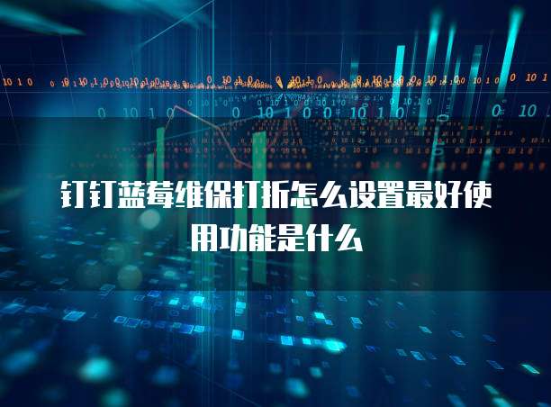 钉钉蓝莓维保打折怎么设置最好使用功能是什么