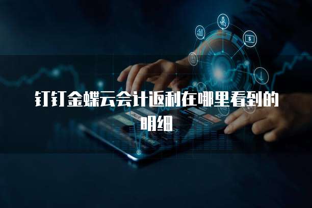 钉钉金蝶云会计返利在哪里看到的明细