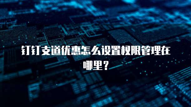 钉钉支道优惠怎么设置权限管理在哪里?