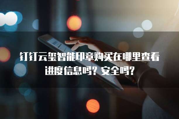 钉钉云玺智能印章购买在哪里查看进度信息吗？安全吗？