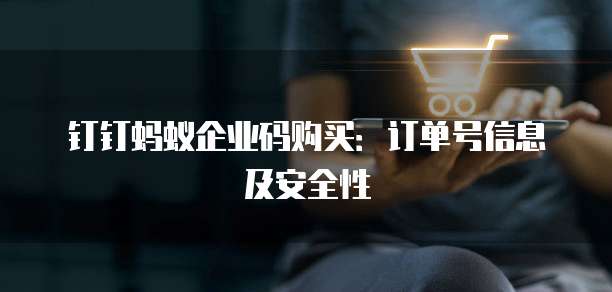 钉钉蚂蚁企业码购买:订单号信息及安全性
