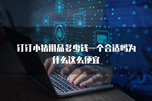 钉钉小猪用品多少钱一个合适吗为什么这么便宜