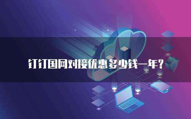 钉钉国网对接优惠多少钱一年?