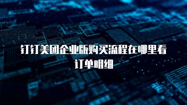 钉钉美团企业版购买流程在哪里看订单明细