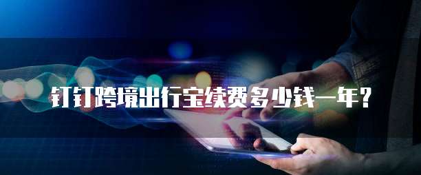 钉钉跨境出行宝续费多少钱一年？