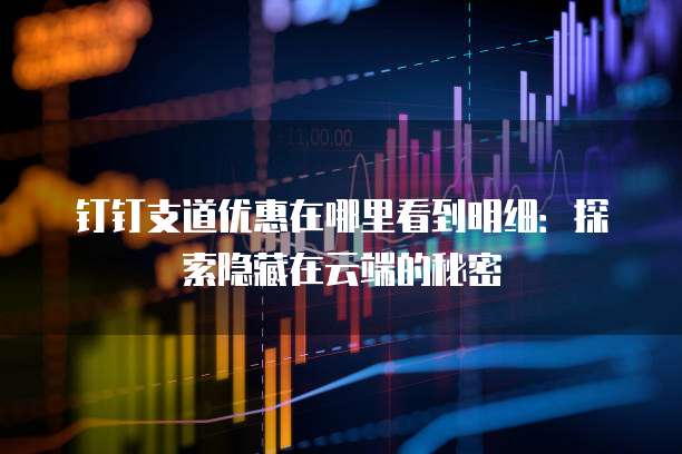 钉钉支道优惠在哪里看到明细:探索隐藏在云端的秘密