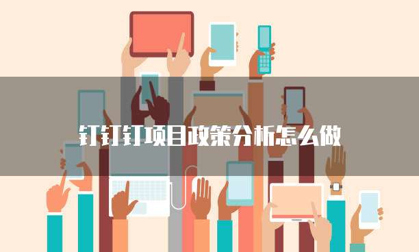 钉钉钉项目政策分析怎么做