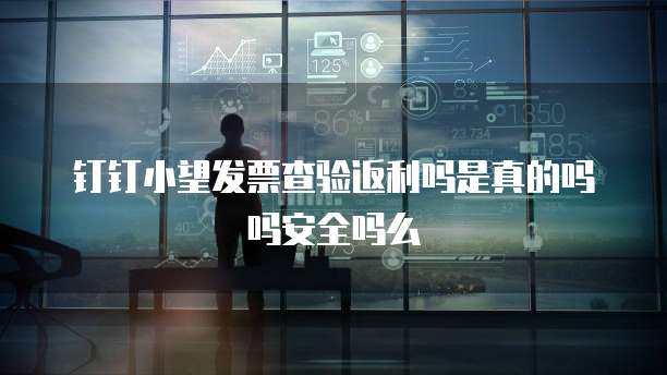 钉钉小望发票查验返利吗是真的吗吗安全吗么