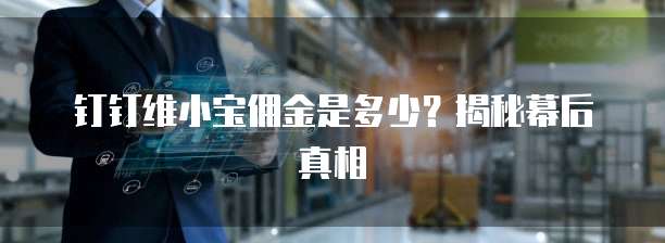 钉钉维小宝佣金是多少?揭秘幕后真相