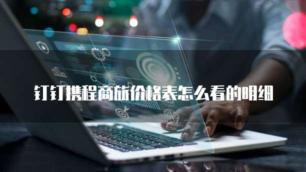 钉钉携程商旅价格表怎么看的明细