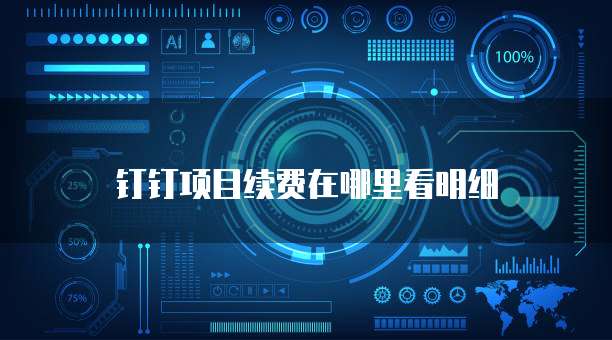 钉钉项目续费在哪里看明细
