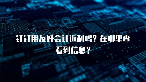 钉钉用友好会计返利吗?在哪里查看到信息?