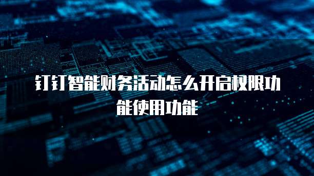 钉钉智能财务活动怎么开启权限功能使用功能