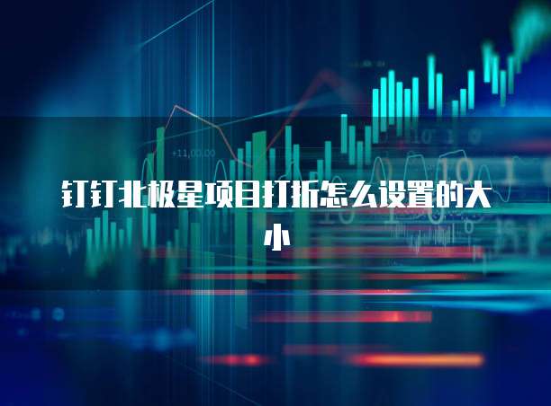 钉钉北极星项目打折怎么设置的大小