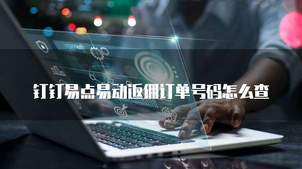 钉钉易点易动返佣订单号码怎么查