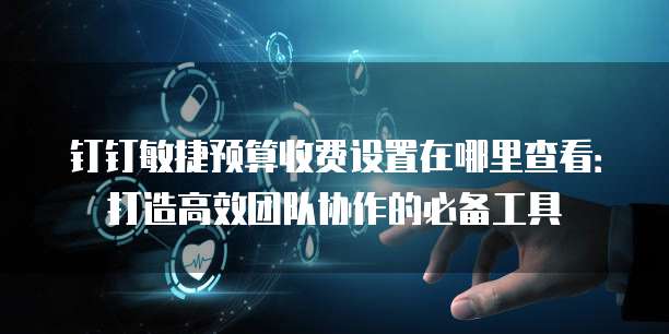 钉钉敏捷预算收费设置在哪里查看:打造高效团队协作的必备工具
