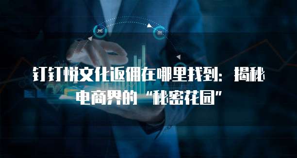 钉钉悦文化返佣在哪里找到:揭秘电商界的“秘密花园”