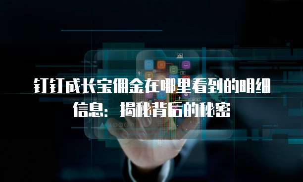 钉钉成长宝佣金在哪里看到的明细信息:揭秘背后的秘密