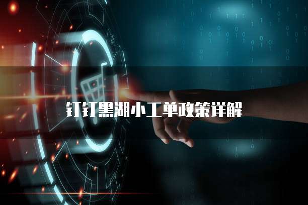 钉钉黑湖小工单政策详解