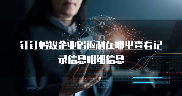 钉钉蚂蚁企业码返利在哪里查看记录信息明细信息