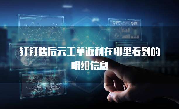 钉钉售后云工单返利在哪里看到的明细信息