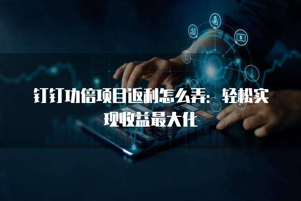 钉钉功倍项目返利怎么弄:轻松实现收益最大化