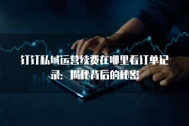 钉钉私域运营续费在哪里看订单记录:揭秘背后的秘密