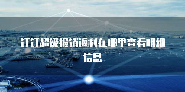 钉钉超级报销返利在哪里查看明细信息
