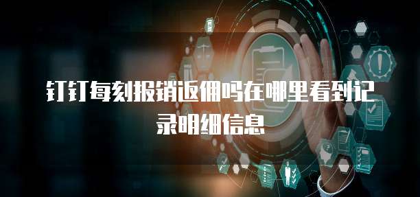 钉钉每刻报销返佣吗在哪里看到记录明细信息
