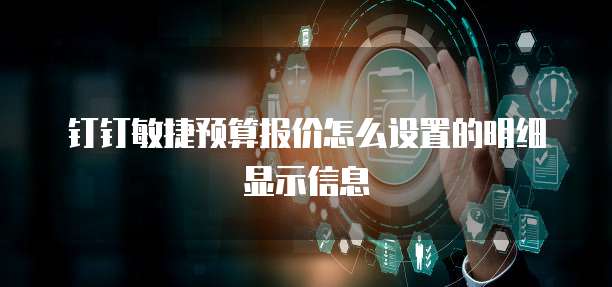 钉钉敏捷预算报价怎么设置的明细显示信息