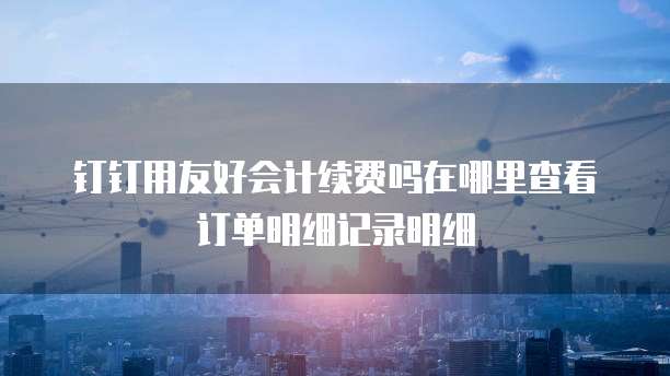 钉钉用友好会计续费吗在哪里查看订单明细记录明细